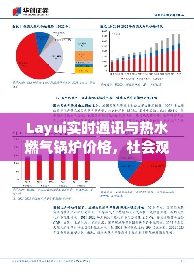 Layui实时通讯与热水燃气锅炉价格,社会观察深度解读报告