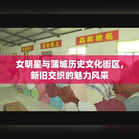 女明星与蒲城历史文化街区,新旧交织的魅力风采
