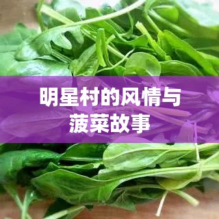 心得分享 第31页