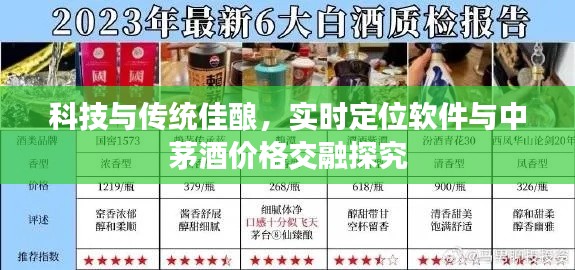 科技与传统佳酿,实时定位软件与中茅酒价格交融探究