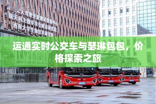 运通实时公交车与瑟琳包包,价格探索之旅