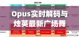 Opus实时解码与烛英最新广场舞,内涵解析、应用指南及防范虚假宣传