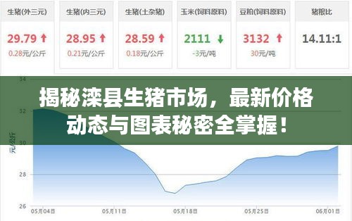 揭秘滦县生猪市场,最新价格动态与图表秘密全掌握!