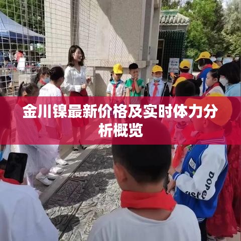金川镍最新价格及实时体力分析概览