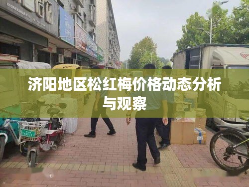 济阳地区松红梅价格动态分析与观察