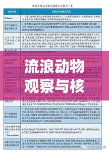 流浪动物观察与核桃价格走势研究,深度探析