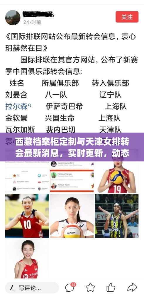 西藏档案柜定制与天津女排转会最新消息,实时更新,动态全掌握!