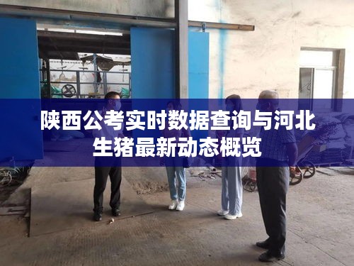 陕西公考实时数据查询与河北生猪最新动态概览