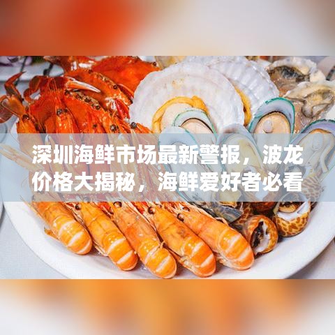 深圳海鲜市场最新警报,波龙价格大揭秘,海鲜爱好者必看!