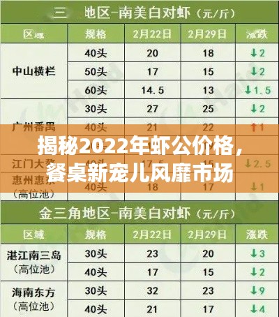 揭秘2022年虾公价格,餐桌新宠儿风靡市场