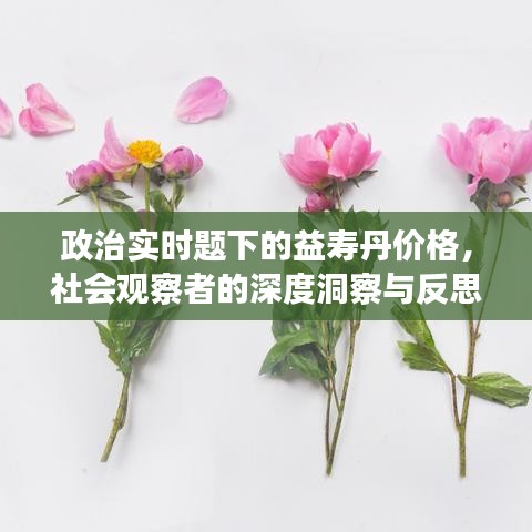 政治实时题下的益寿丹价格,社会观察者的深度洞察与反思