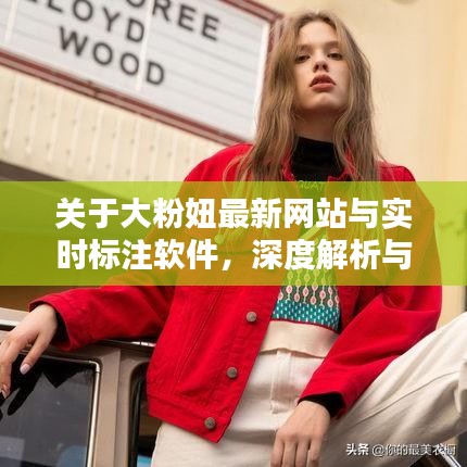 关于大粉妞最新网站与实时标注软件,深度解析与虚假宣传警惕