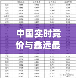 中国实时竞价与鑫远最新发展动态的综合研究报告