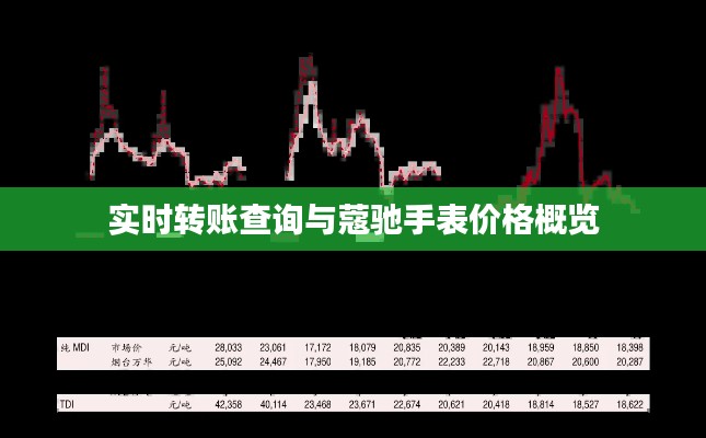 实时转账查询与蔻驰手表价格概览