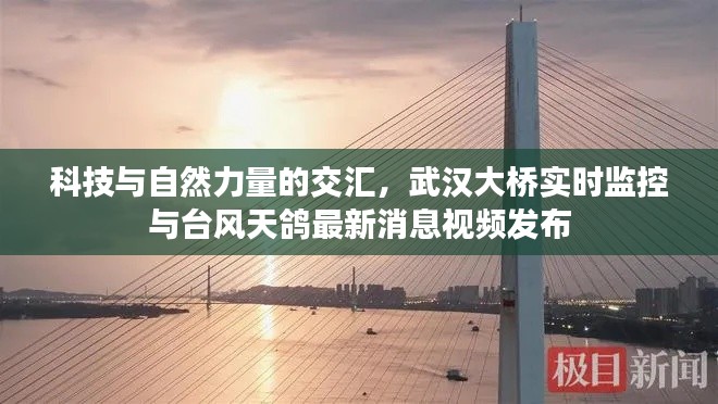 科技与自然力量的交汇,武汉大桥实时监控与台风天鸽最新消息视频发布