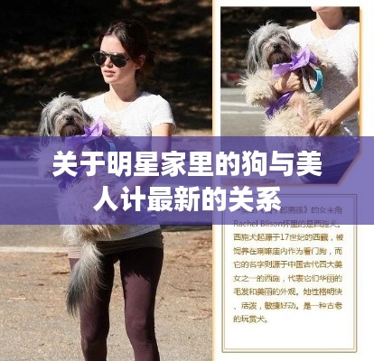 关于明星家里的狗与美人计最新的关系