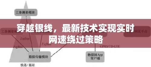 穿越银线,最新技术实现实时网速绕过策略