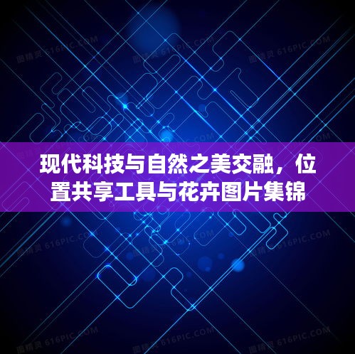现代科技与自然之美交融,位置共享工具与花卉图片集锦