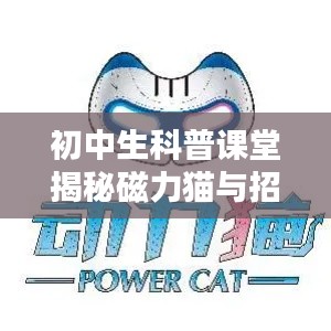 初中生科普课堂揭秘磁力猫与招商提额背后的秘密