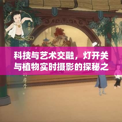 科技与艺术交融,灯开关与植物实时摄影的探秘之旅
