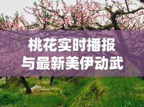 桃花实时播报与最新美伊动武解析