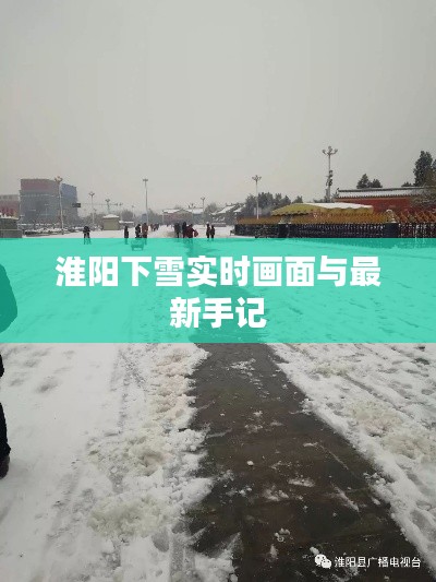 淮阳下雪实时画面与最新手记