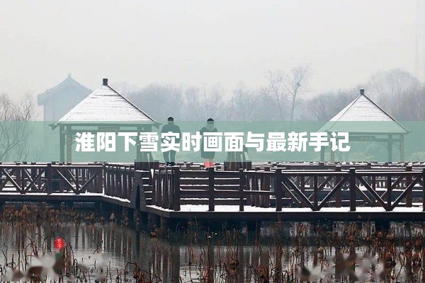 淮阳下雪实时画面与最新手记