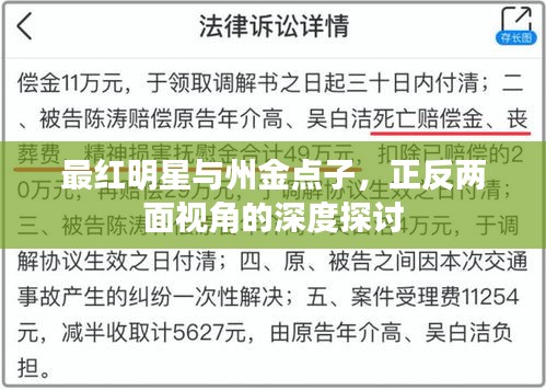 最红明星与州金点子,正反两面视角的深度探讨