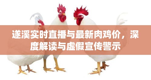 遂溪实时直播与最新肉鸡价,深度解读与虚假宣传警示