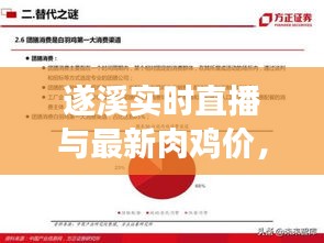 遂溪实时直播与最新肉鸡价,深度解读与虚假宣传警示