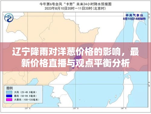 辽宁降雨对洋葱价格的影响,最新价格直播与观点平衡分析