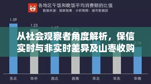 从社会观察者角度解析,保信实时与非实时差异及山枣收购价格洞察