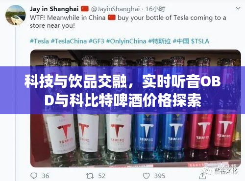 科技与饮品交融，实时听音OBD与科比特啤酒价格探索