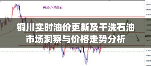 铜川实时油价更新及干洗石油市场洞察与价格走势分析