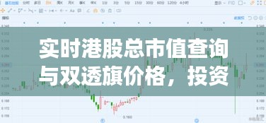 实时港股总市值查询与双透旗价格,投资市场的两大焦点关注