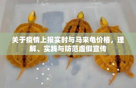 关于疫情上报实时与马来龟价格,理解、实践与防范虚假宣传