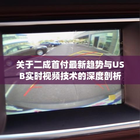关于二成首付最新趋势与USB实时视频技术的深度剖析