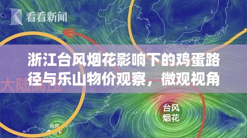 浙江台风烟花影响下的鸡蛋路径与乐山物价观察,微观视角探究社会现象
