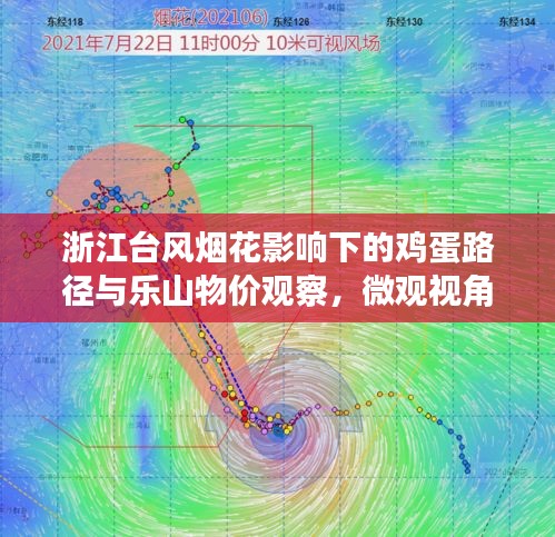 浙江台风烟花影响下的鸡蛋路径与乐山物价观察,微观视角探究社会现象