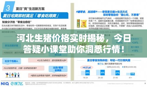 河北生猪价格实时揭秘,今日答疑小课堂助你洞悉行情!