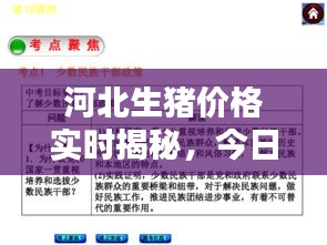 河北生猪价格实时揭秘,今日答疑小课堂助你洞悉行情!