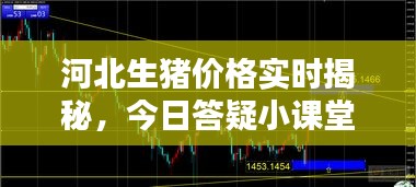 河北生猪价格实时揭秘,今日答疑小课堂助你洞悉行情!