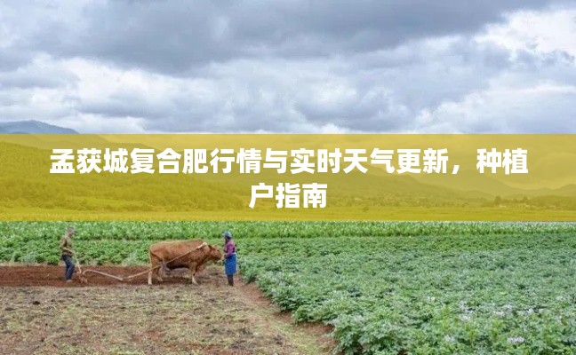 孟获城复合肥行情与实时天气更新,种植户指南