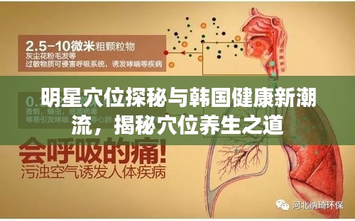 明星穴位探秘与韩国健康新潮流,揭秘穴位养生之道