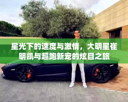 网站案例 第21页