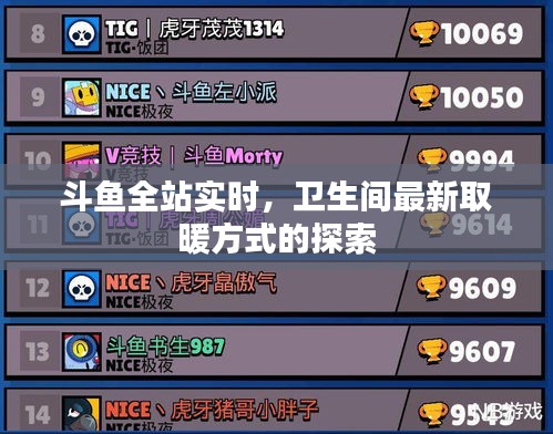 斗鱼全站实时,卫生间最新取暖方式的探索