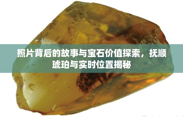 照片背后的故事与宝石价值探索,抚顺琥珀与实时位置揭秘