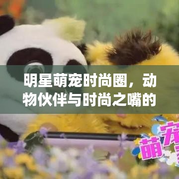 明星萌宠时尚圈,动物伙伴与时尚之嘴的星动态