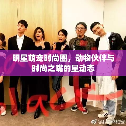 明星萌宠时尚圈,动物伙伴与时尚之嘴的星动态