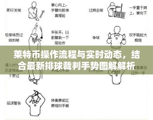 莱特币操作流程与实时动态，结合最新排球裁判手势图解解析